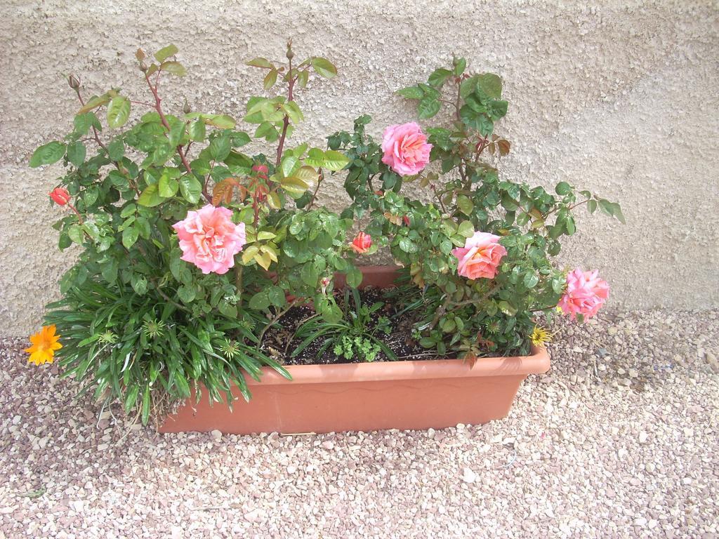 Bauernhof La Rosa