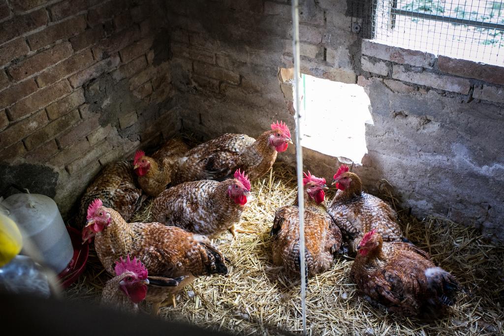 Farm stay La Rosa