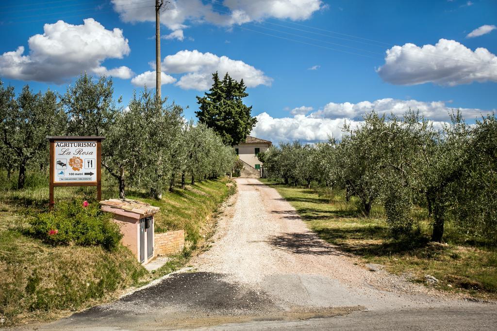 La Rosa Farm stay Montefalco