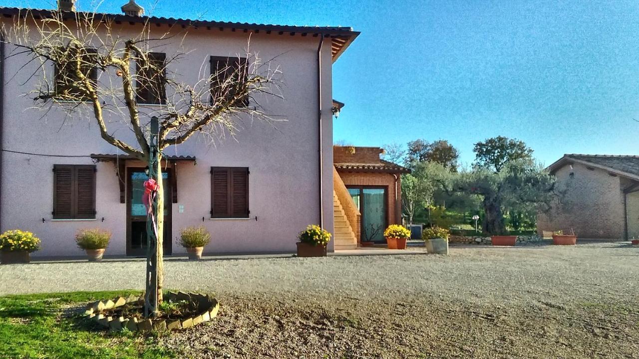 Farm stay La Rosa Montefalco