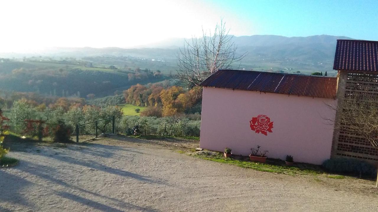 La Rosa Montefalco