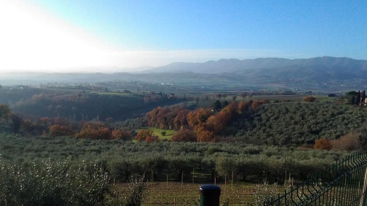 La Rosa Montefalco